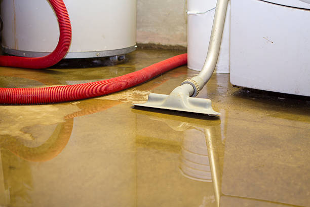 Best Sewage cleanup and water damage restoration  in Chesterland, OH