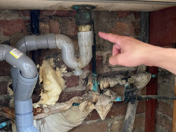Best Flooded house restoration  in Chesterland, OH