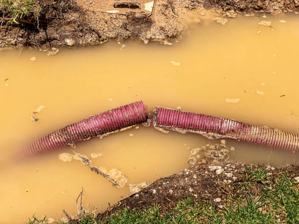 Best Basement water damage restoration  in Chesterland, OH