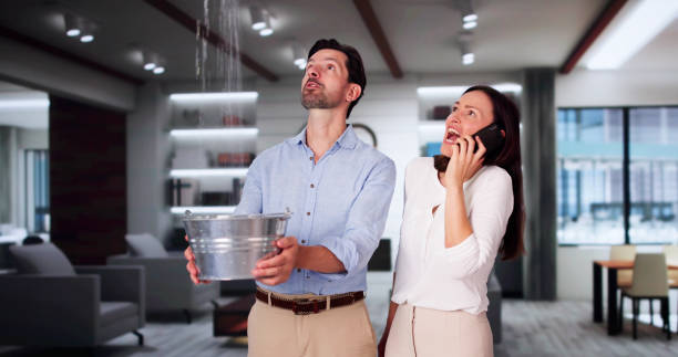 Best Water damage cleanup near me  in Chesterland, OH